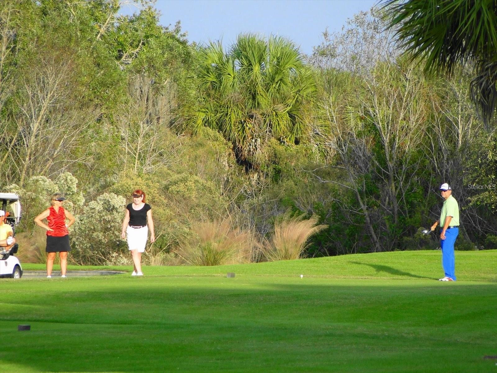 416 Winding Brook Lane #102 Bradenton FL 34212 A4693214 image46