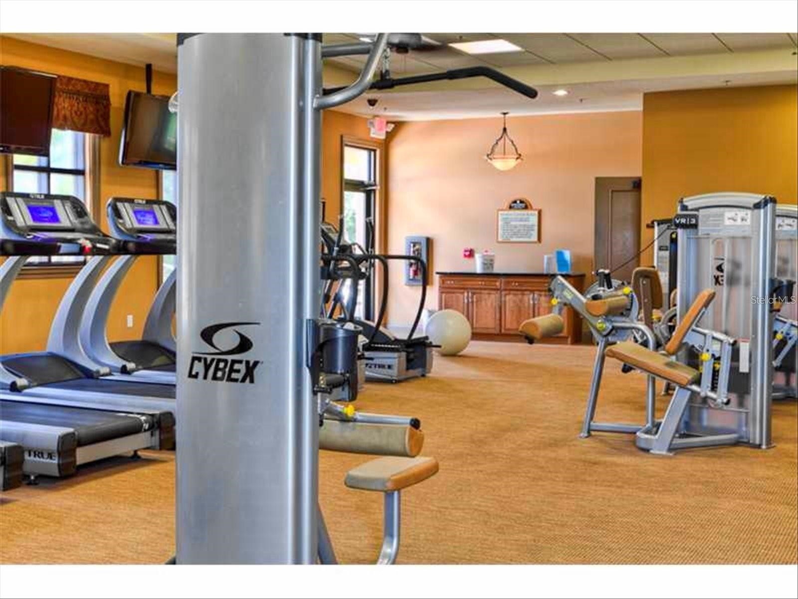 416 Winding Brook Lane #102 Bradenton FL 34212 A4693214 image52