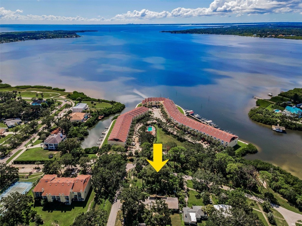 416 Woodward Avenue Oldsmar FL 34677 TB8448302 image1