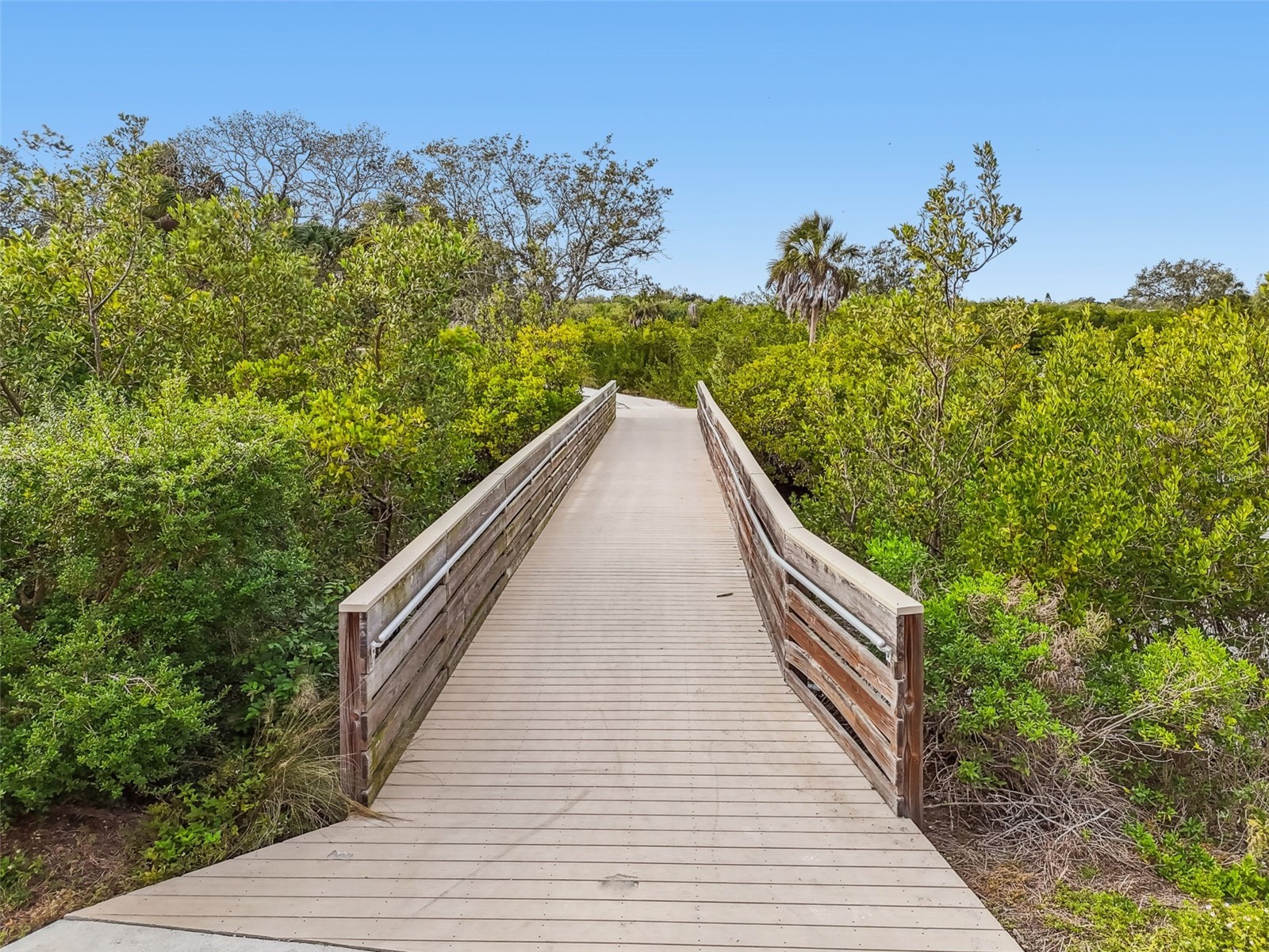 4160 35th Terrace S #C Saint Petersburg FL 33711 - BOCA CIEGA BAY TB8456483 image43