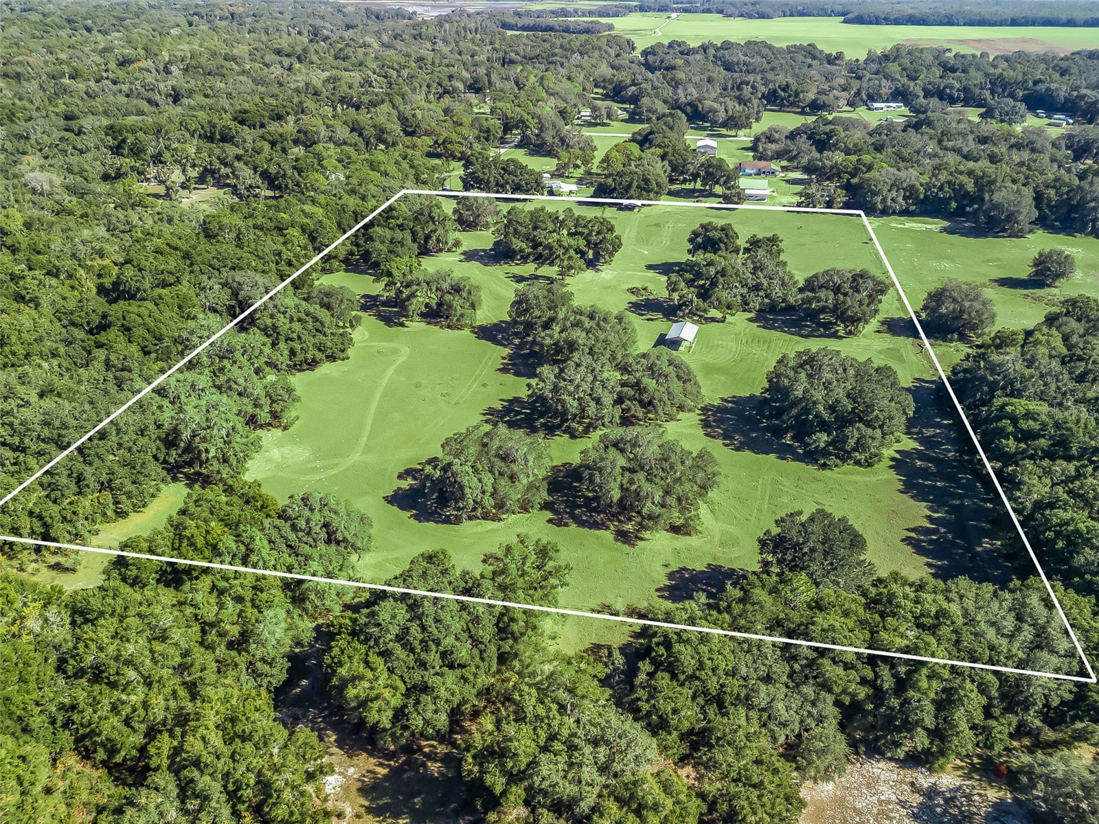 4160 NE 127th Place Anthony FL 32617 OM713181 image1