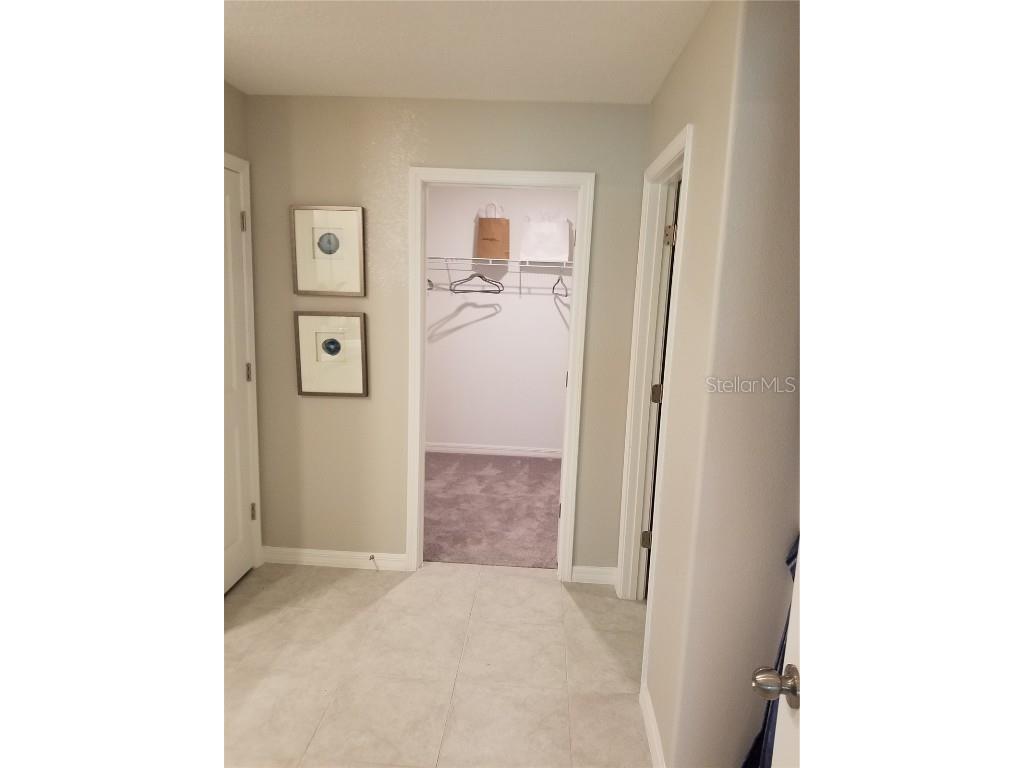 4160 Salt Springs Lane Lakeland FL 33811 TB8379034 image8