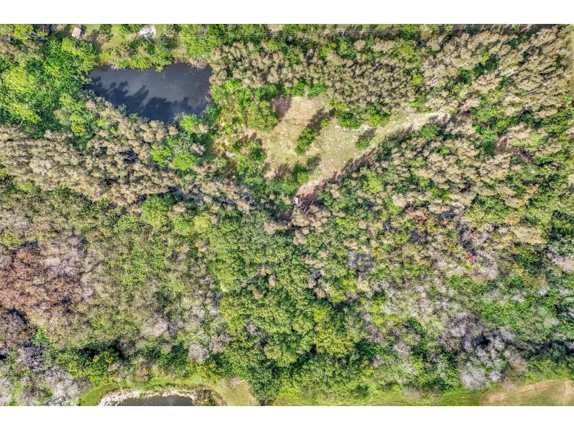 41601 Little Farm Road Punta Gorda FL 33982 TB8398978 image10