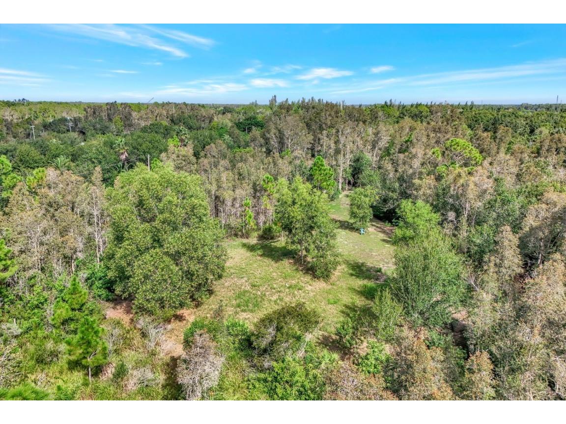 41601 Little Farm Road Punta Gorda FL 33982 TB8398978 image4