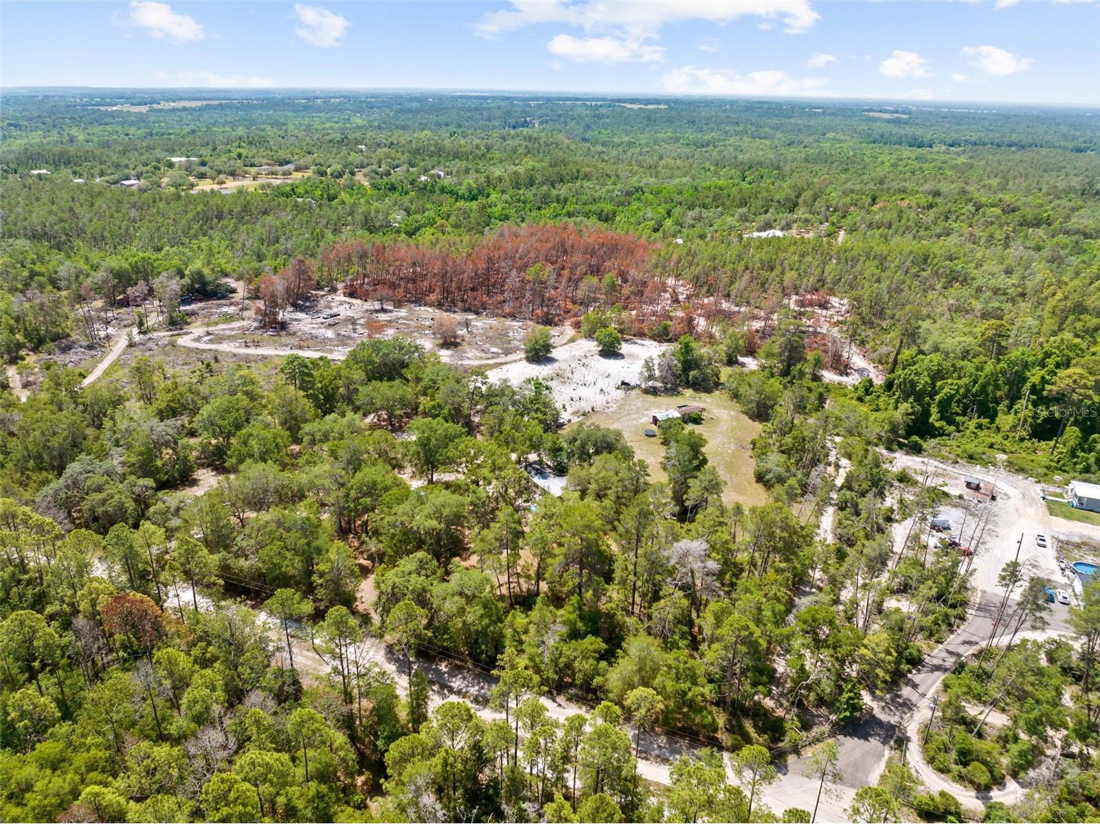 4161 Burns Road Brooksville FL 34602 TB8504910 image10