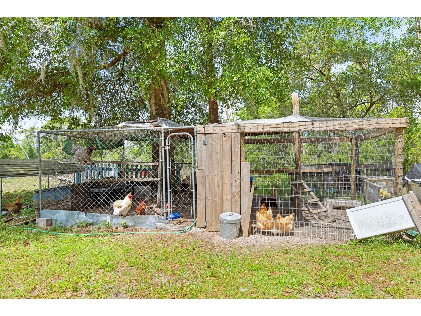 4161 Burns Road Brooksville FL 34602 TB8504910 image16