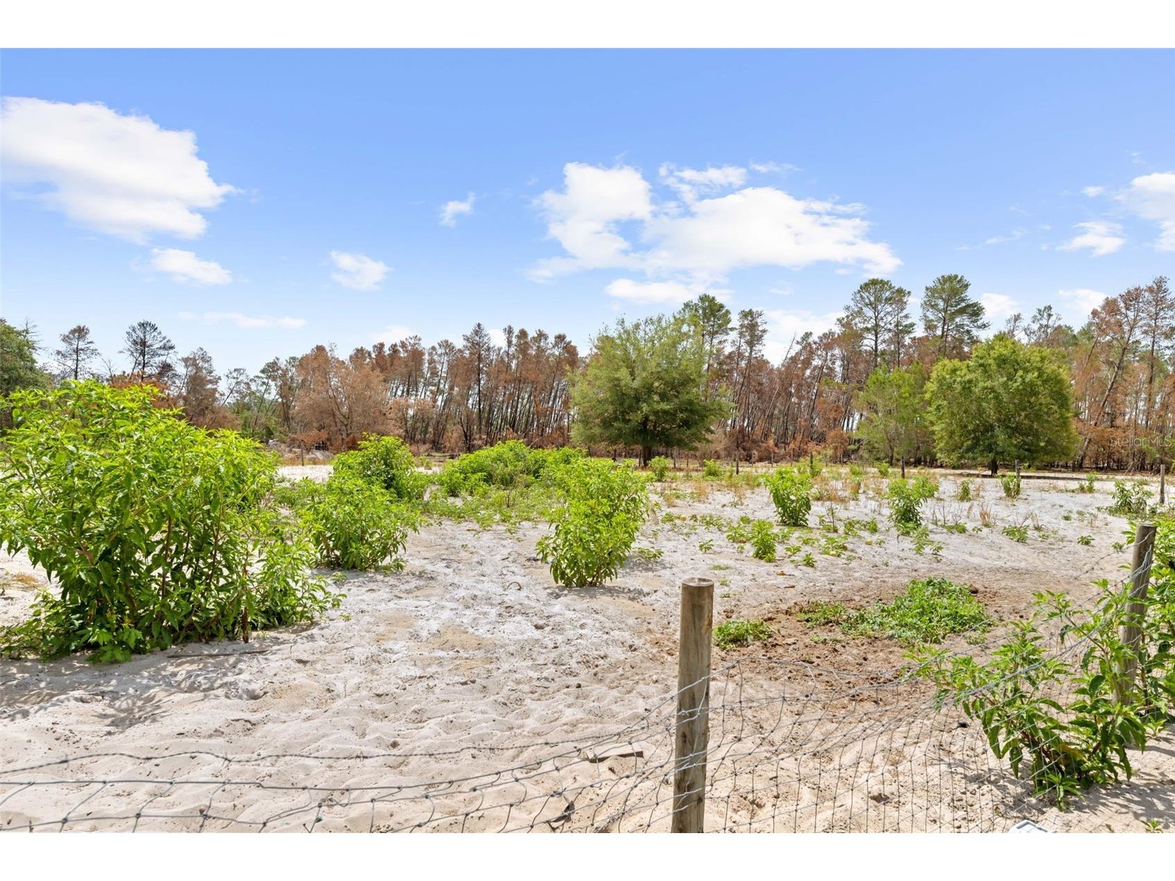 4161 Burns Road Brooksville FL 34602 TB8504910 image18