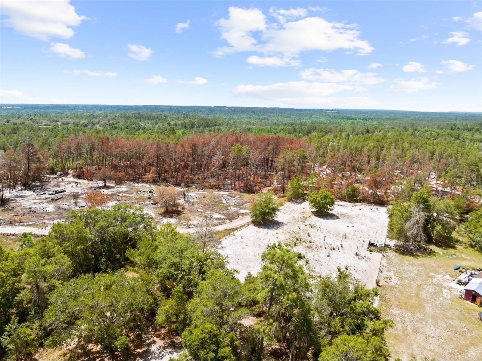4161 Burns Road Brooksville FL 34602 TB8504910 image19