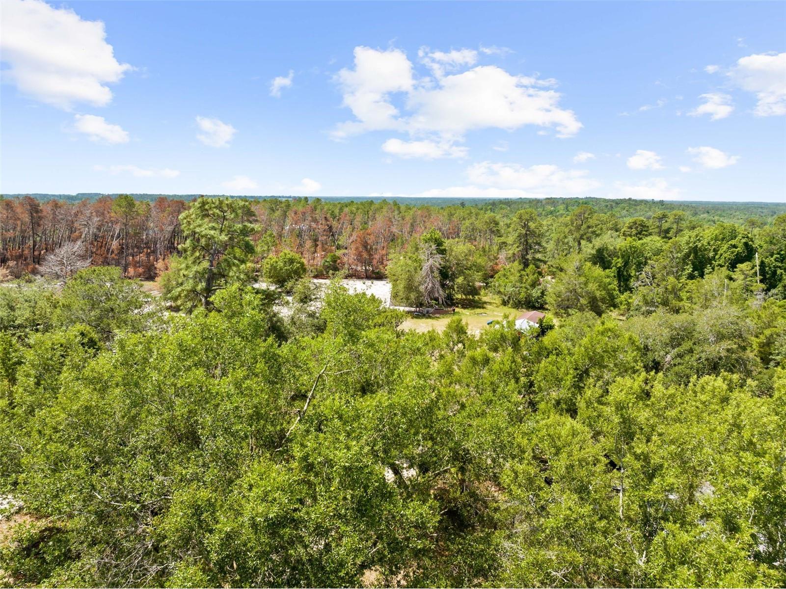 4161 Burns Road Brooksville FL 34602 TB8504910 image20