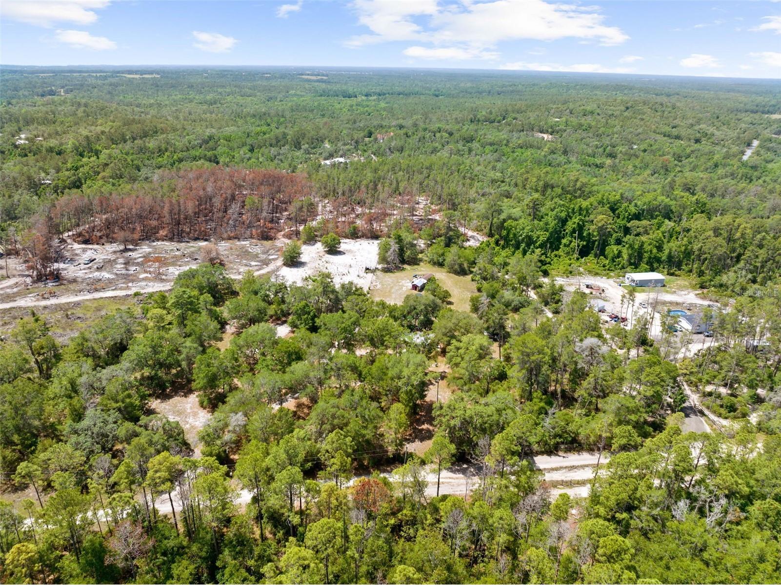 4161 Burns Road Brooksville FL 34602 TB8504910 image21
