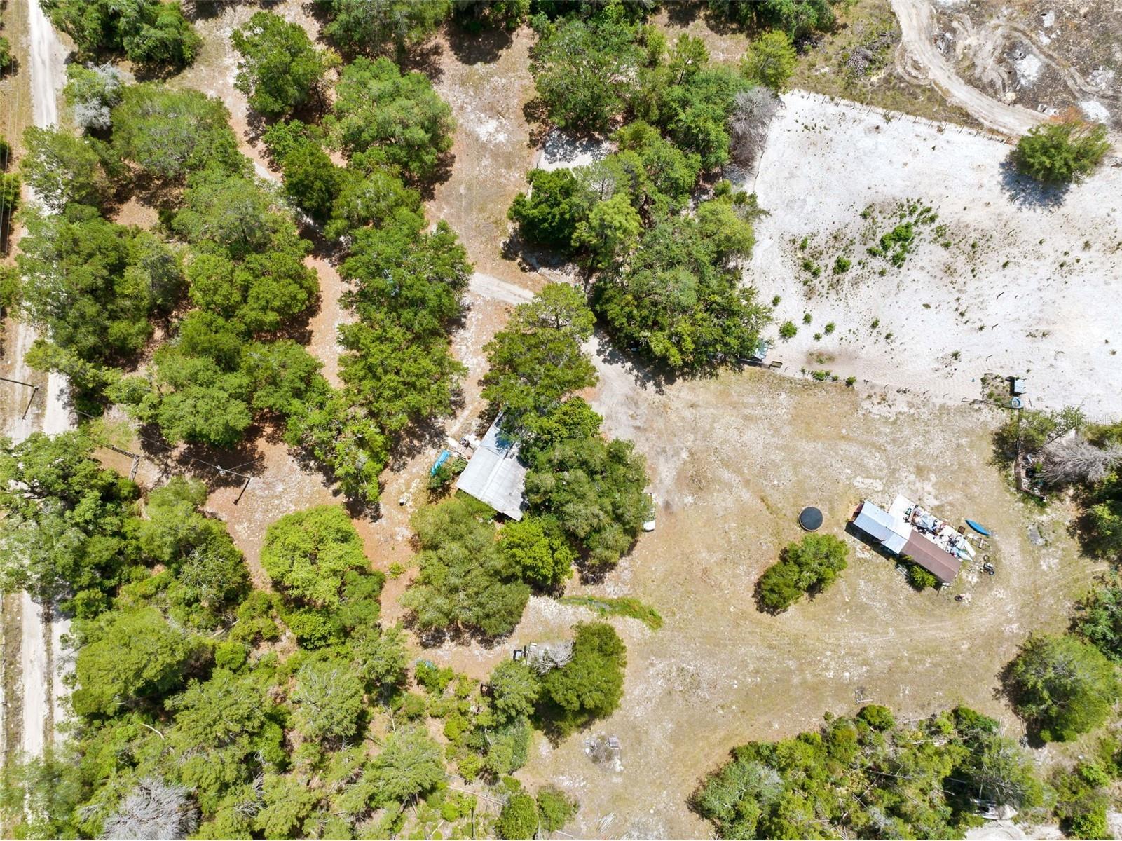 4161 Burns Road Brooksville FL 34602 TB8504910 image4