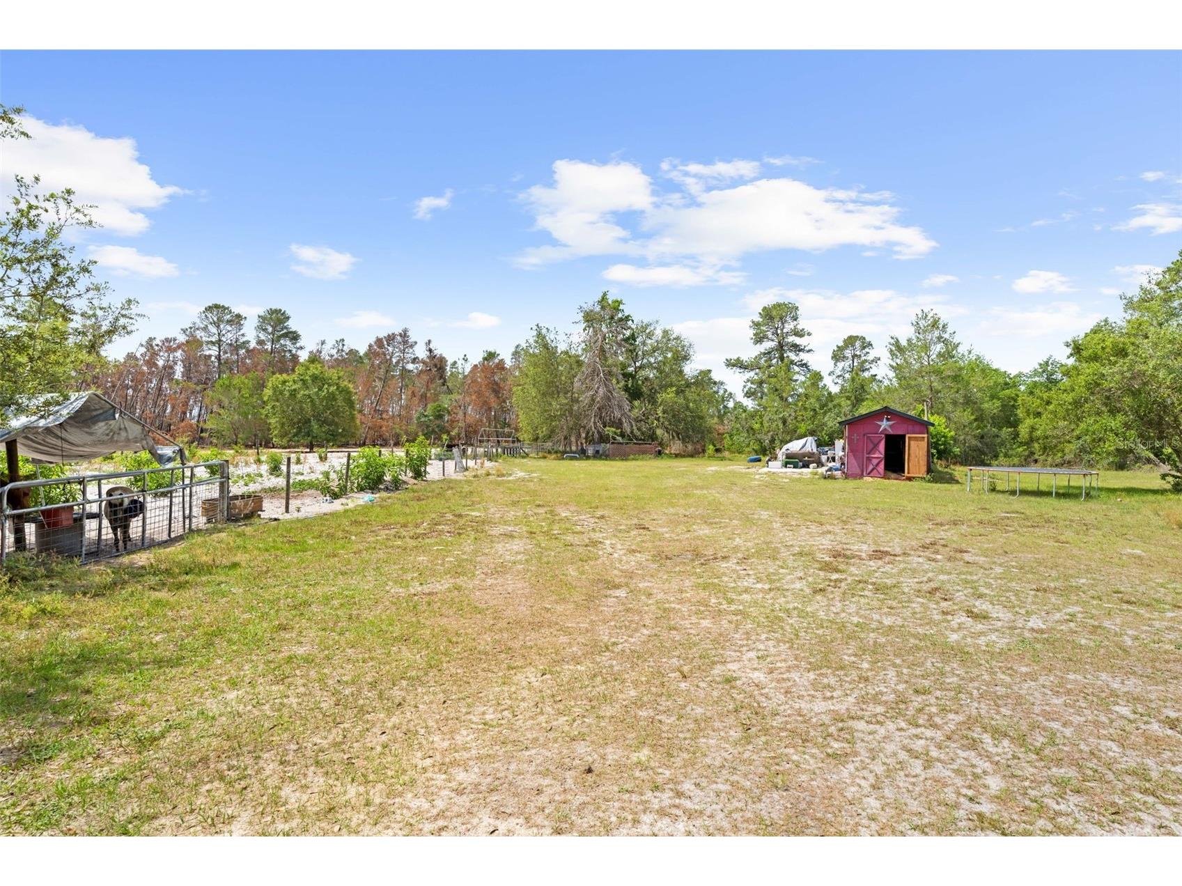 4161 Burns Road Brooksville FL 34602 TB8504910 image6