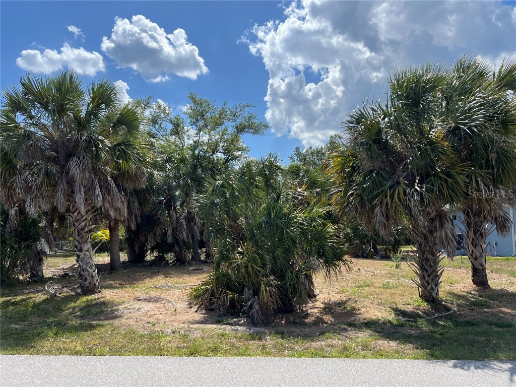 4161 Library Street Port Charlotte FL 33948 C7492020 image1
