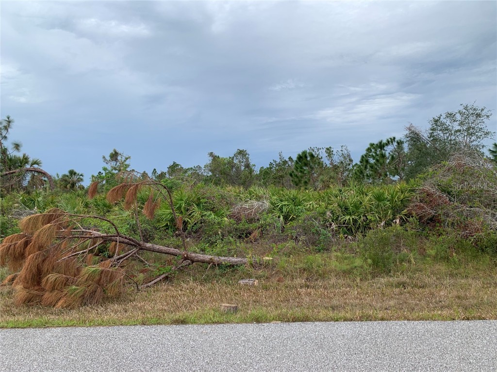 4161 Pilgrim Street Port Charlotte FL 33981 C7469145 image1