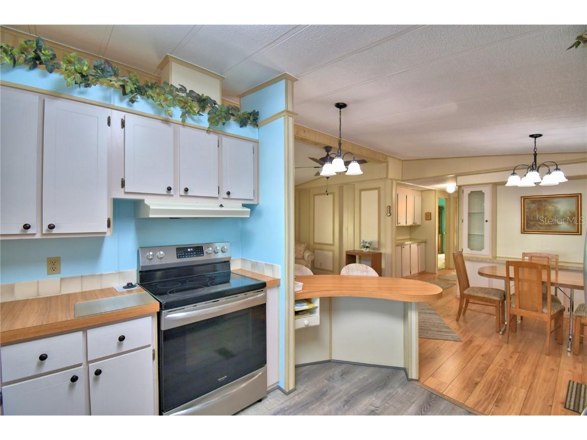 4161 Rolling Oaks Drive Winter Haven FL 33880 - Dinner Lake P4933050 image14