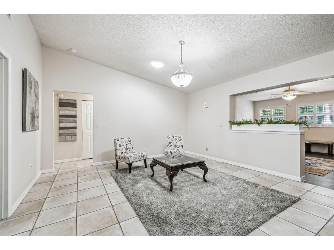 4161 Rolling Springs Drive Tampa FL 33624 TB8444488 image10