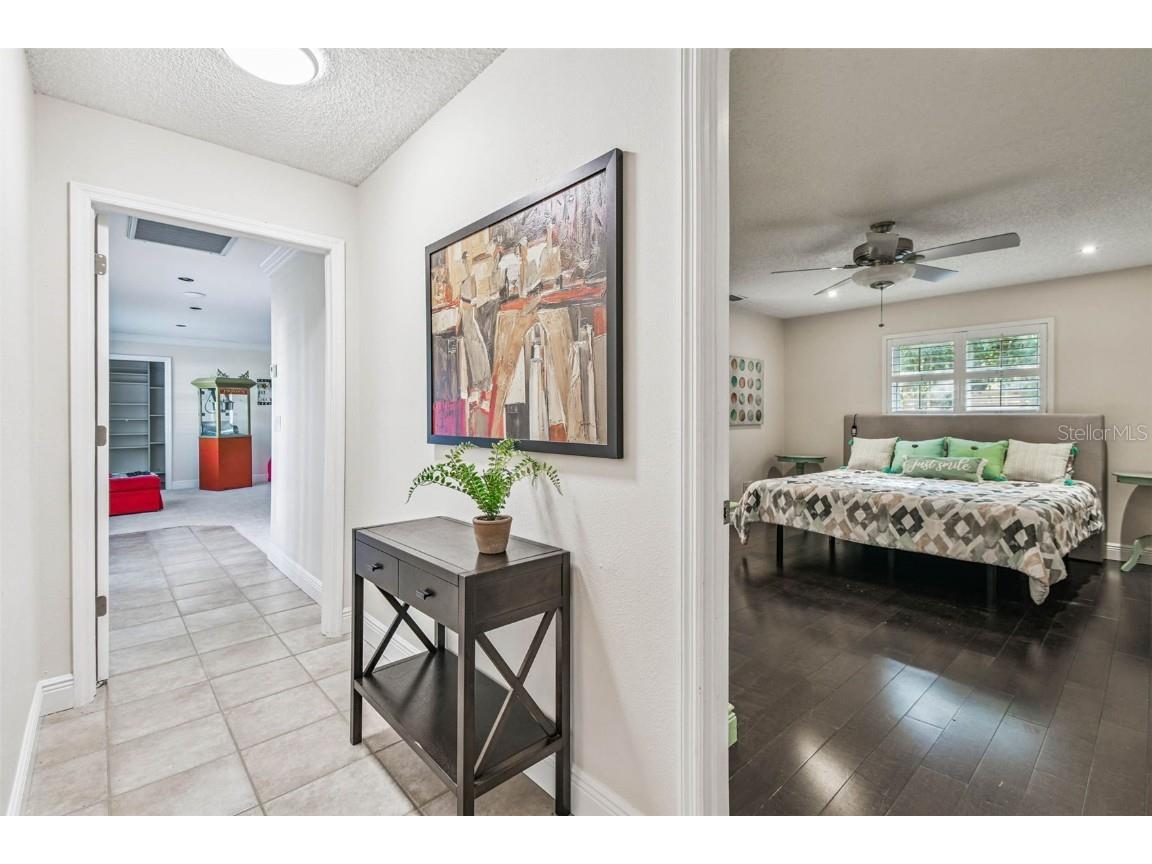 4161 Rolling Springs Drive Tampa FL 33624 TB8444488 image34