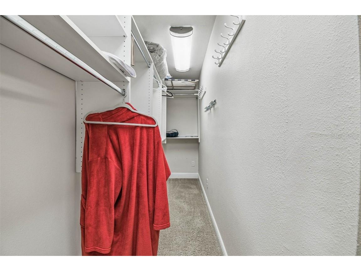 4161 Rolling Springs Drive Tampa FL 33624 TB8444488 image41