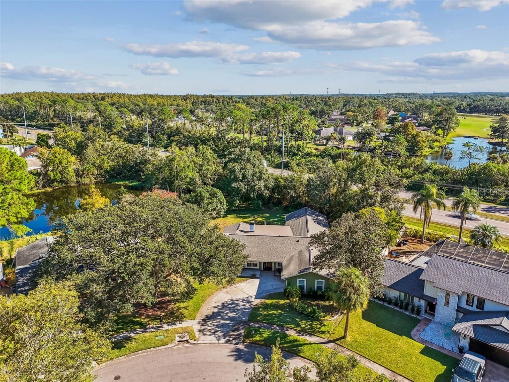 4161 Rolling Springs Drive Tampa FL 33624 TB8444488 image59