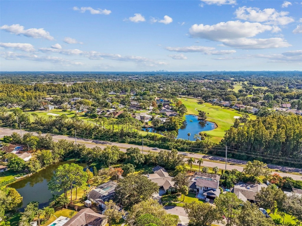 4161 Rolling Springs Drive Tampa FL 33624 TB8444488 image60