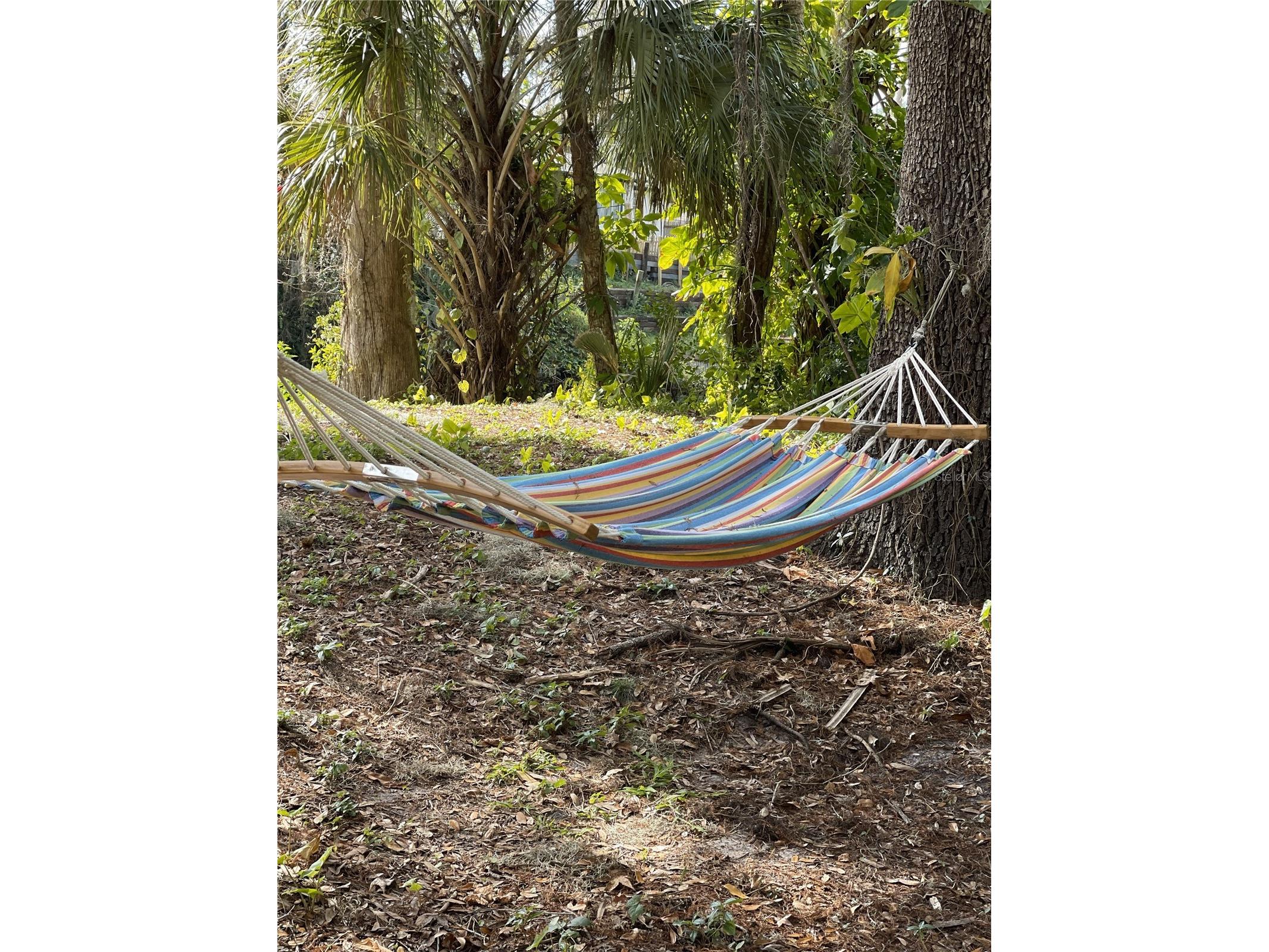 4162 Alafia Boulevard Brandon FL 33511 - ALAFIA TB8466126 image29