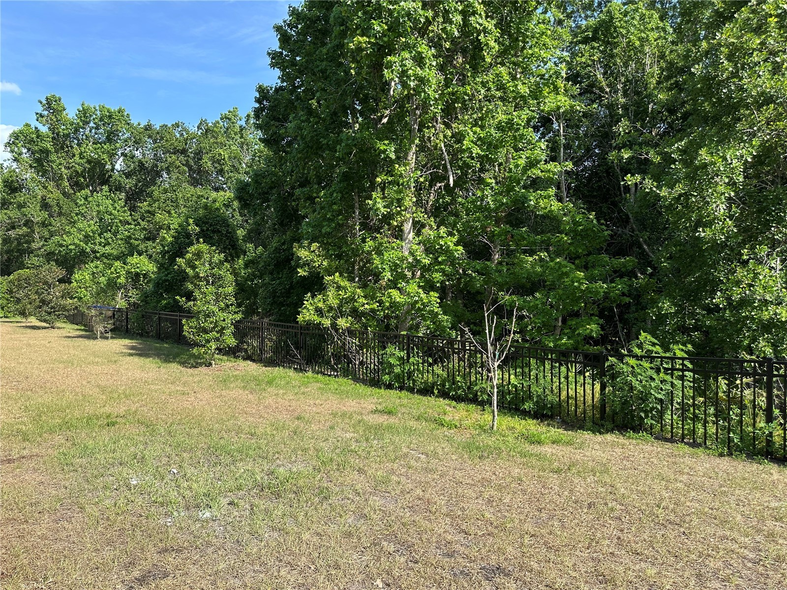 4162 Babbling Brook Way #A Kissimmee FL 34746 O6416808 image12