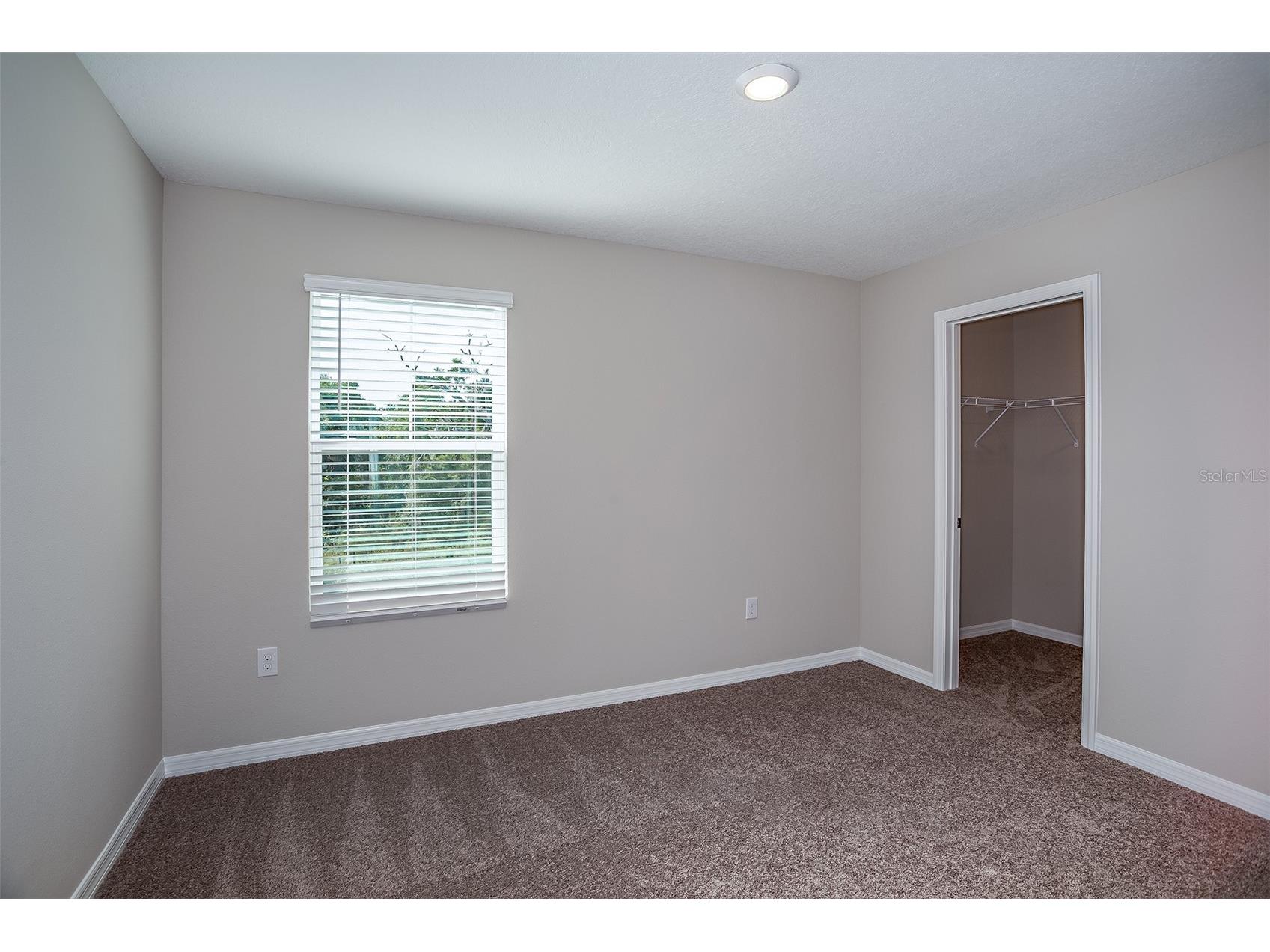 4162 Gerbera Daisy Avenue Lake Hamilton FL 33851 TB8475864 image26