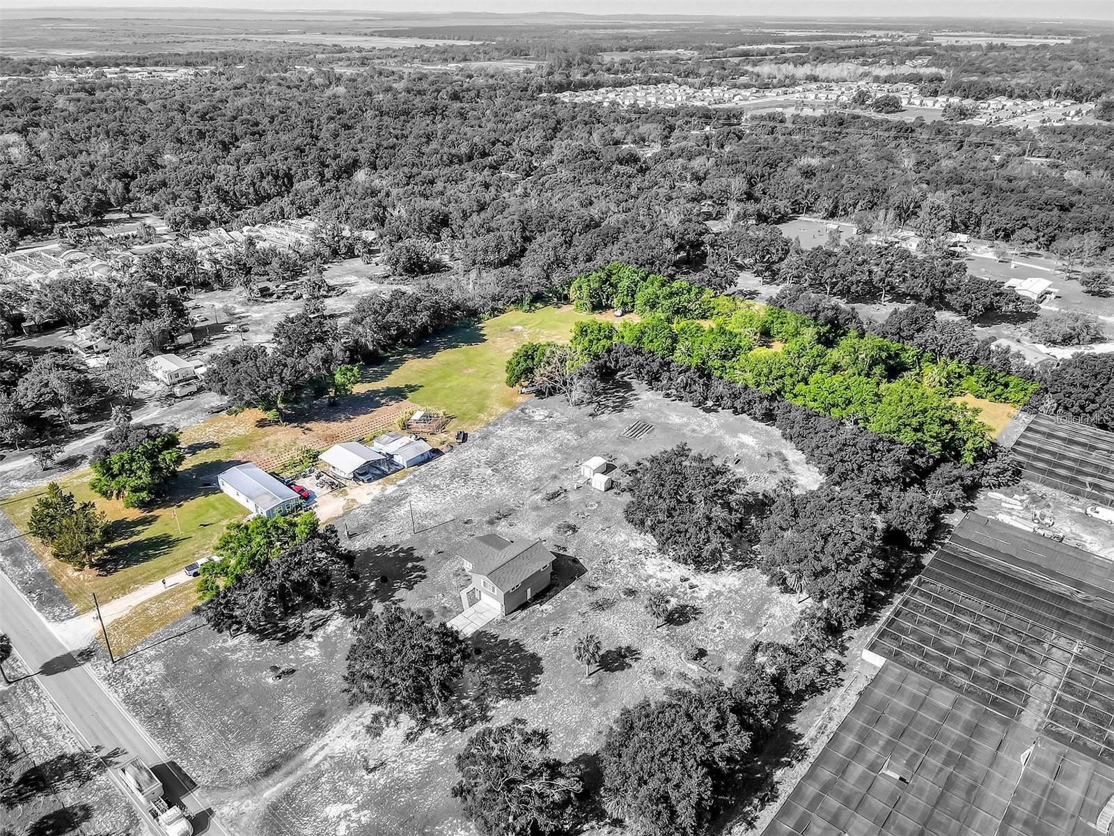 4162 Laughlin Road Mount Dora FL 32757 TB8463536 image32