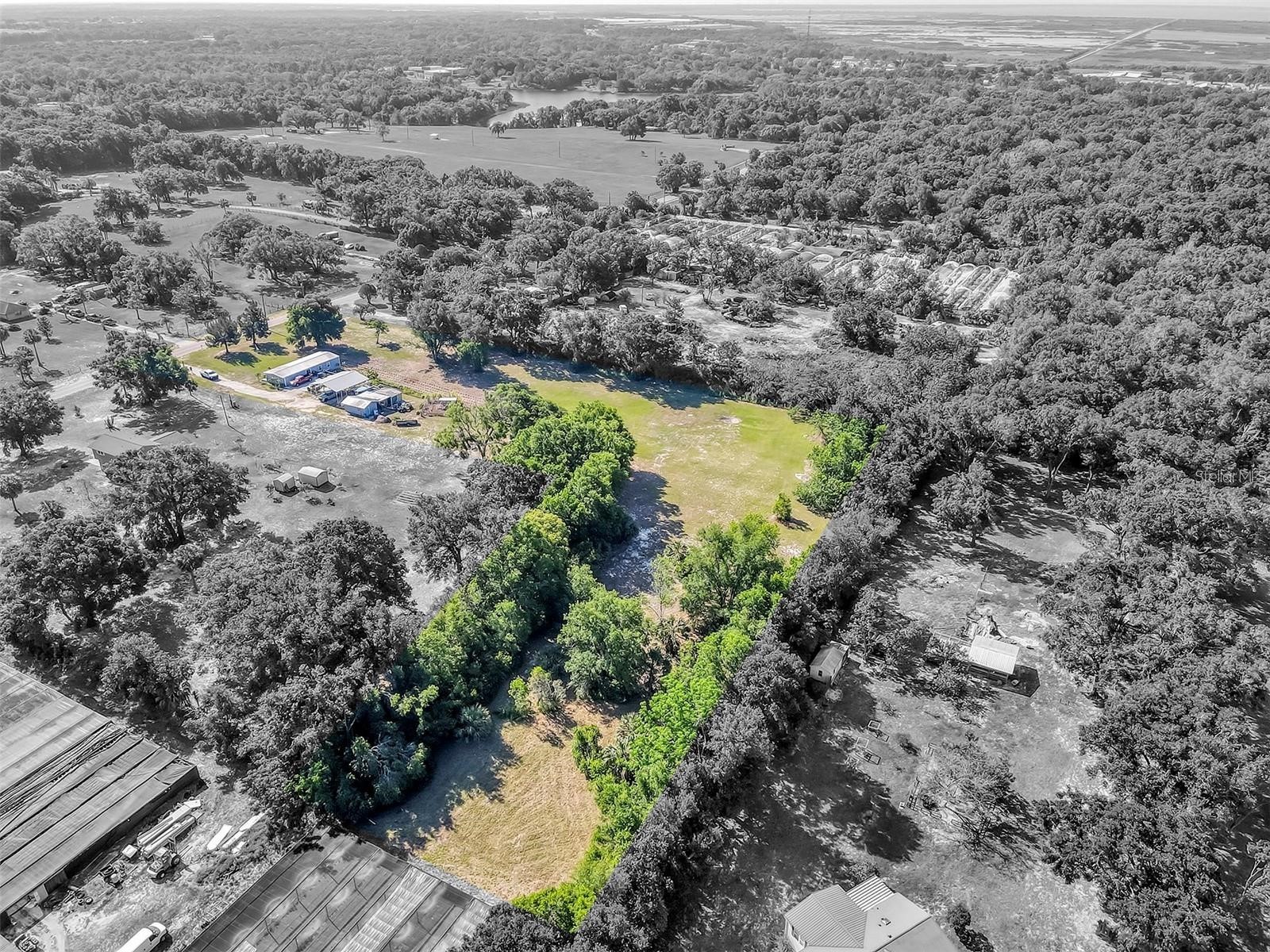 4162 Laughlin Road Mount Dora FL 32757 TB8463536 image33