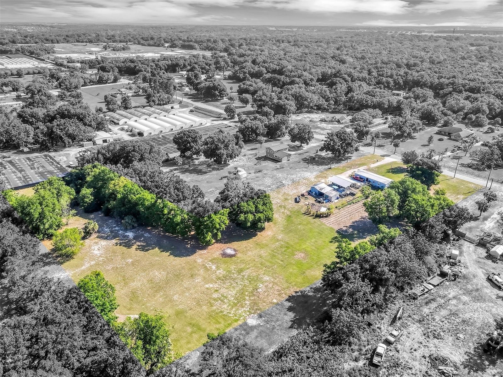 4162 Laughlin Road Mount Dora FL 32757 TB8463536 image34