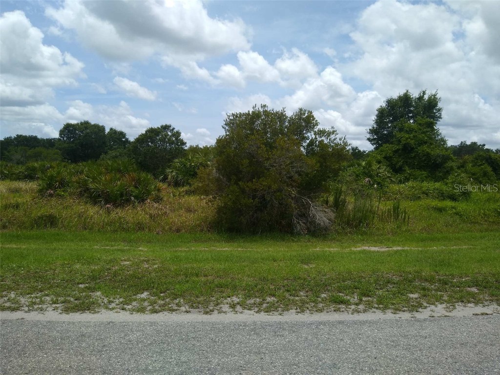 41628 11th Avenue E Myakka City FL 34251 A4504872 image1