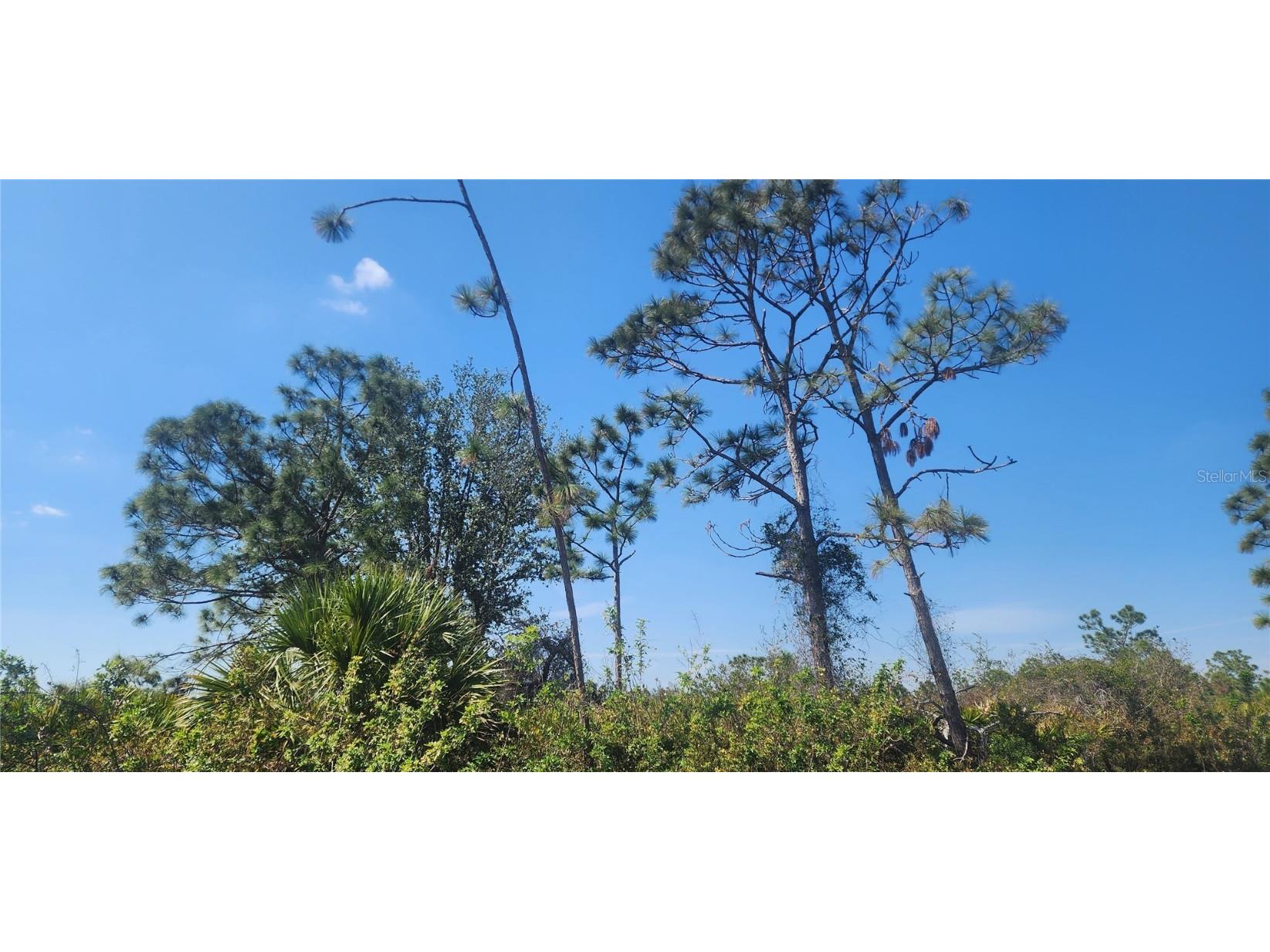 4163 Hollybrook Street Port Charlotte FL 33981 D6140814 image5