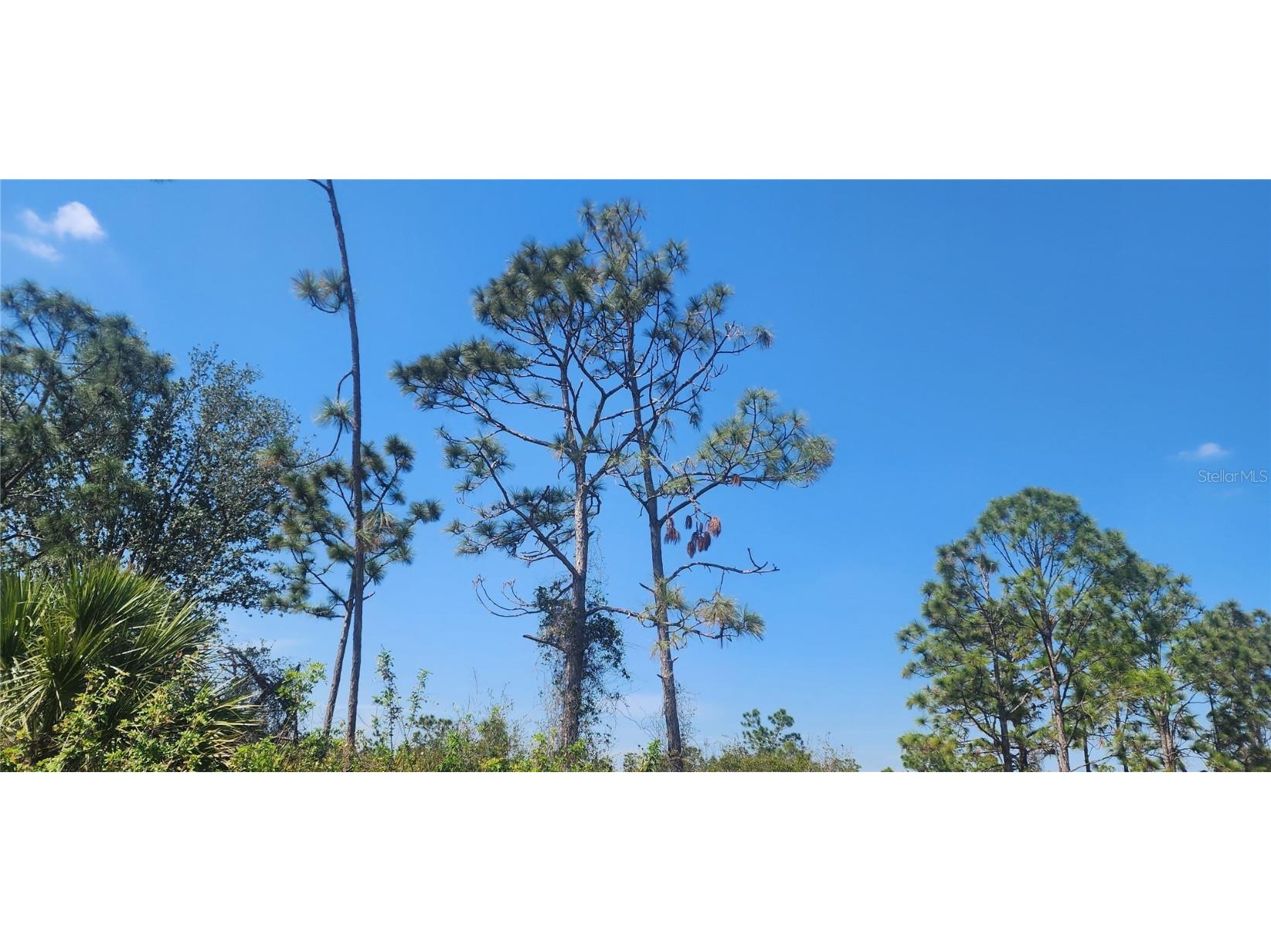 4163 Hollybrook Street Port Charlotte FL 33981 D6140814 image6