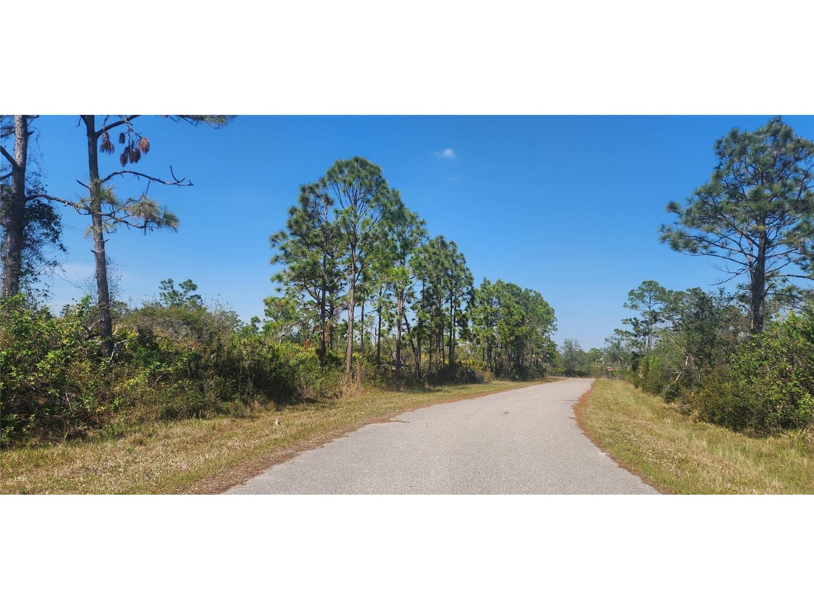 4163 Hollybrook Street Port Charlotte FL 33981 D6140814 image7