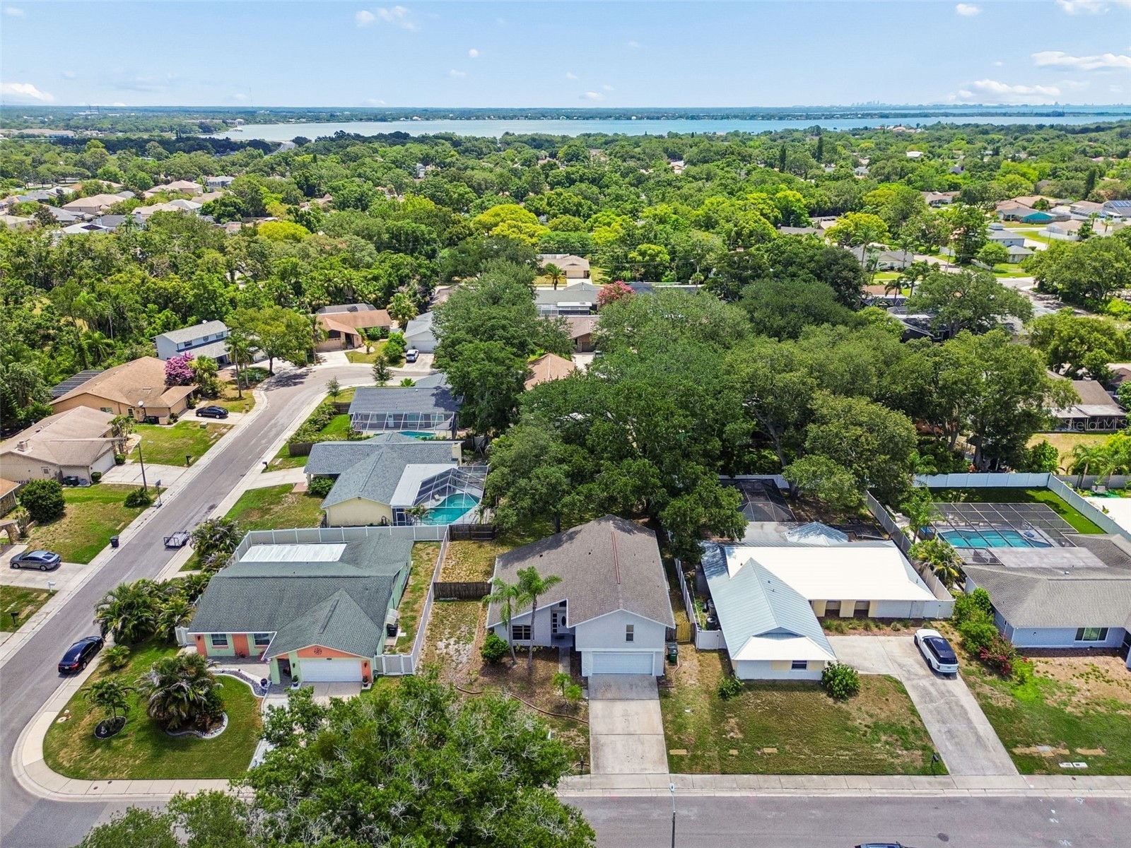 4163 Mallard Drive Safety Harbor FL 34695 TB8522494 image57