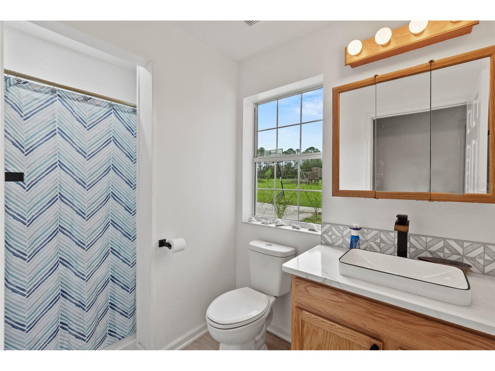 41636 Outlaw Lane Weirsdale FL 32195 G5099467 image31