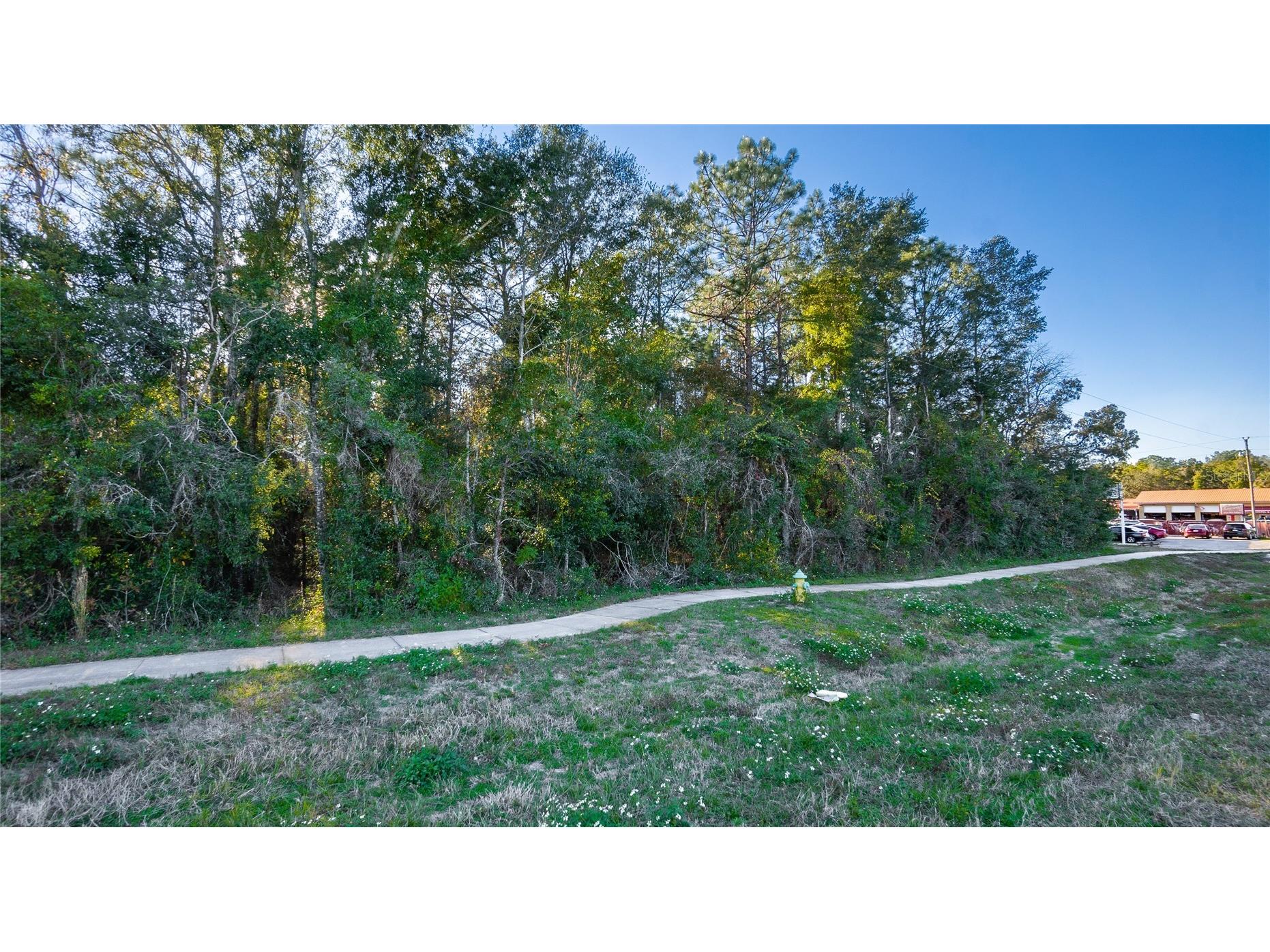 4164 W Gulf To Lake Highway Lecanto FL 34461 W7883402 image1