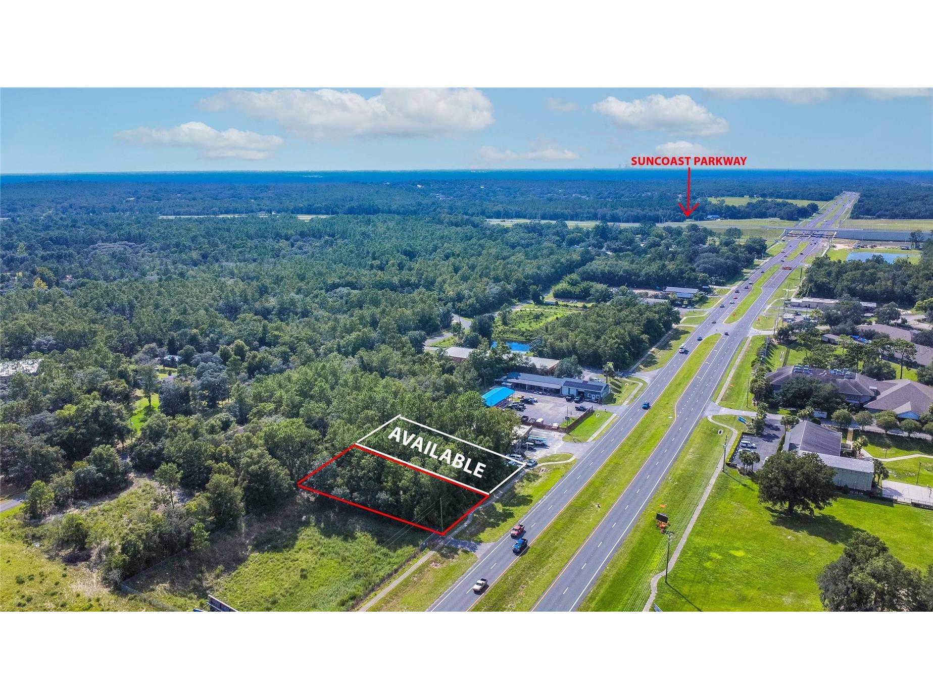 4164 W Gulf To Lake Highway Lecanto FL 34461 W7883402 image11