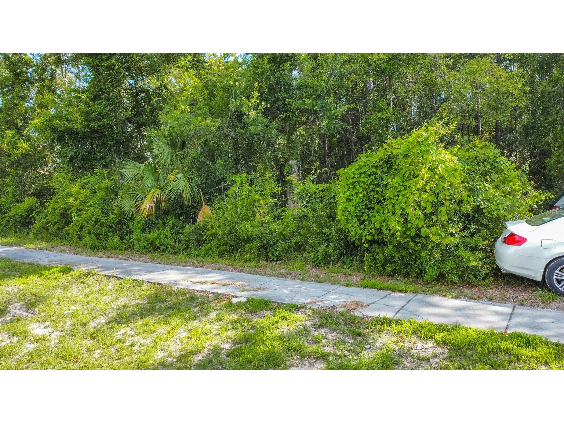 4164 W Gulf To Lake Highway Lecanto FL 34461 W7883402 image20
