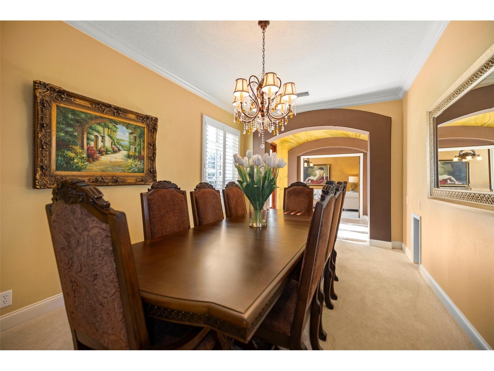 4165 Moreno Drive Palm Harbor FL 34685 TB8460043 image18