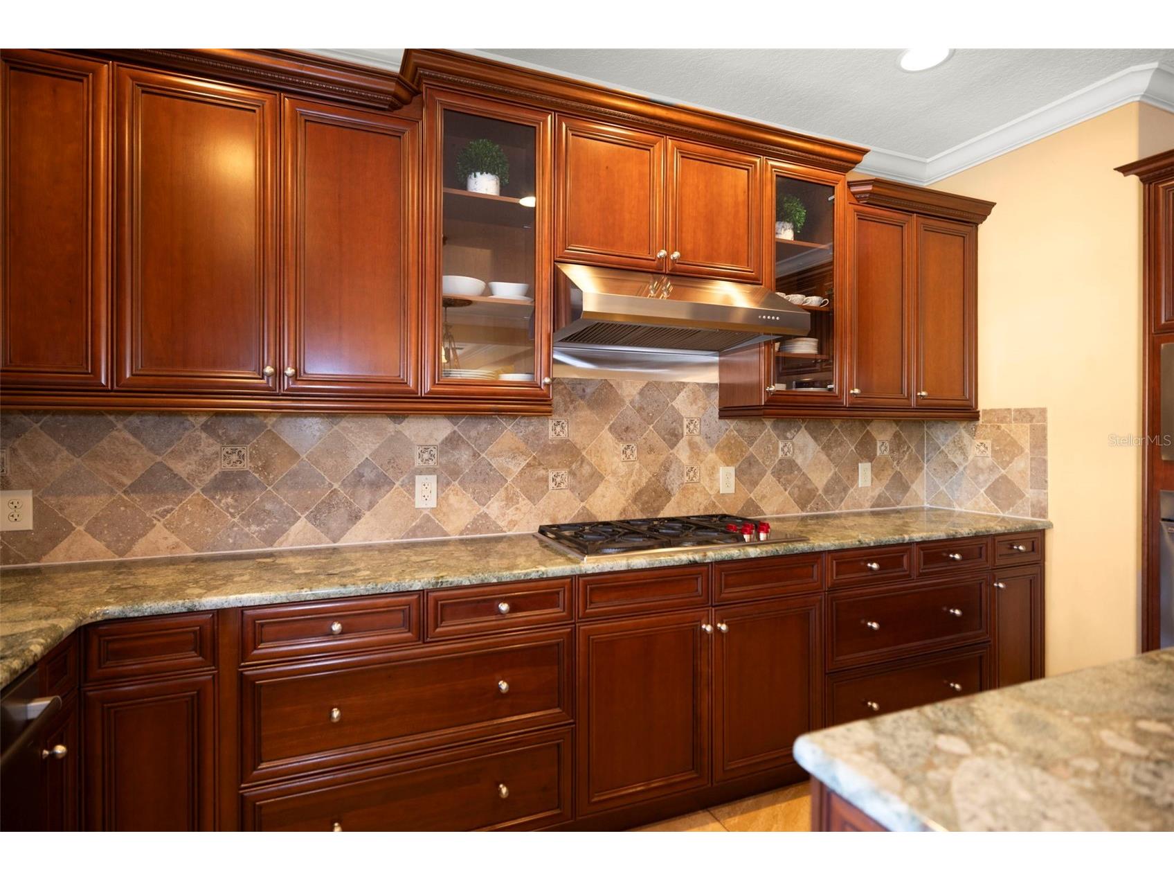 4165 Moreno Drive Palm Harbor FL 34685 TB8460043 image28