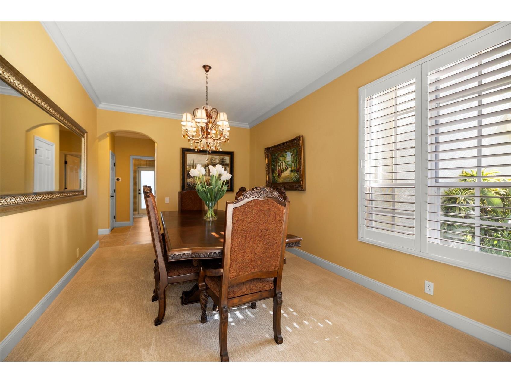 4165 Moreno Drive Palm Harbor FL 34685 TB8460043 image29