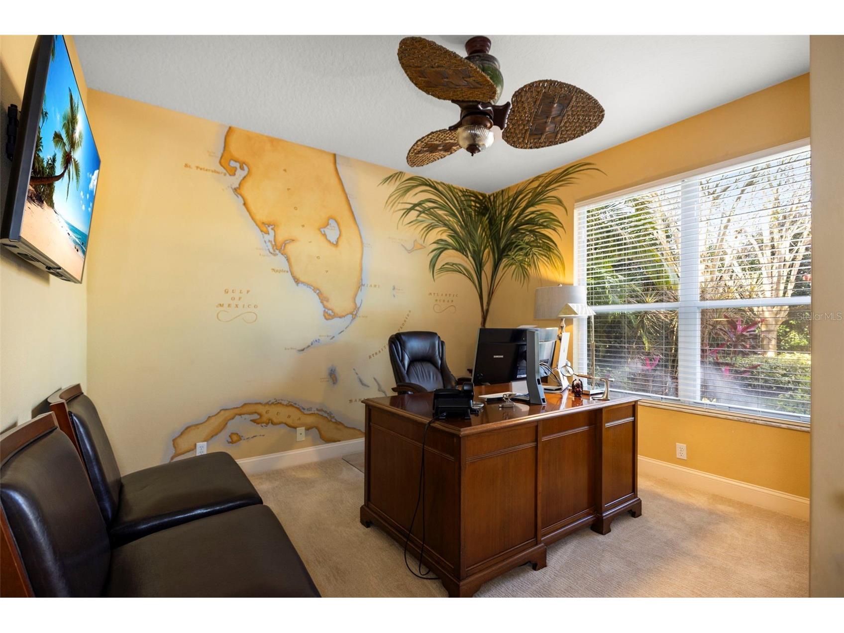 4165 Moreno Drive Palm Harbor FL 34685 TB8460043 image31