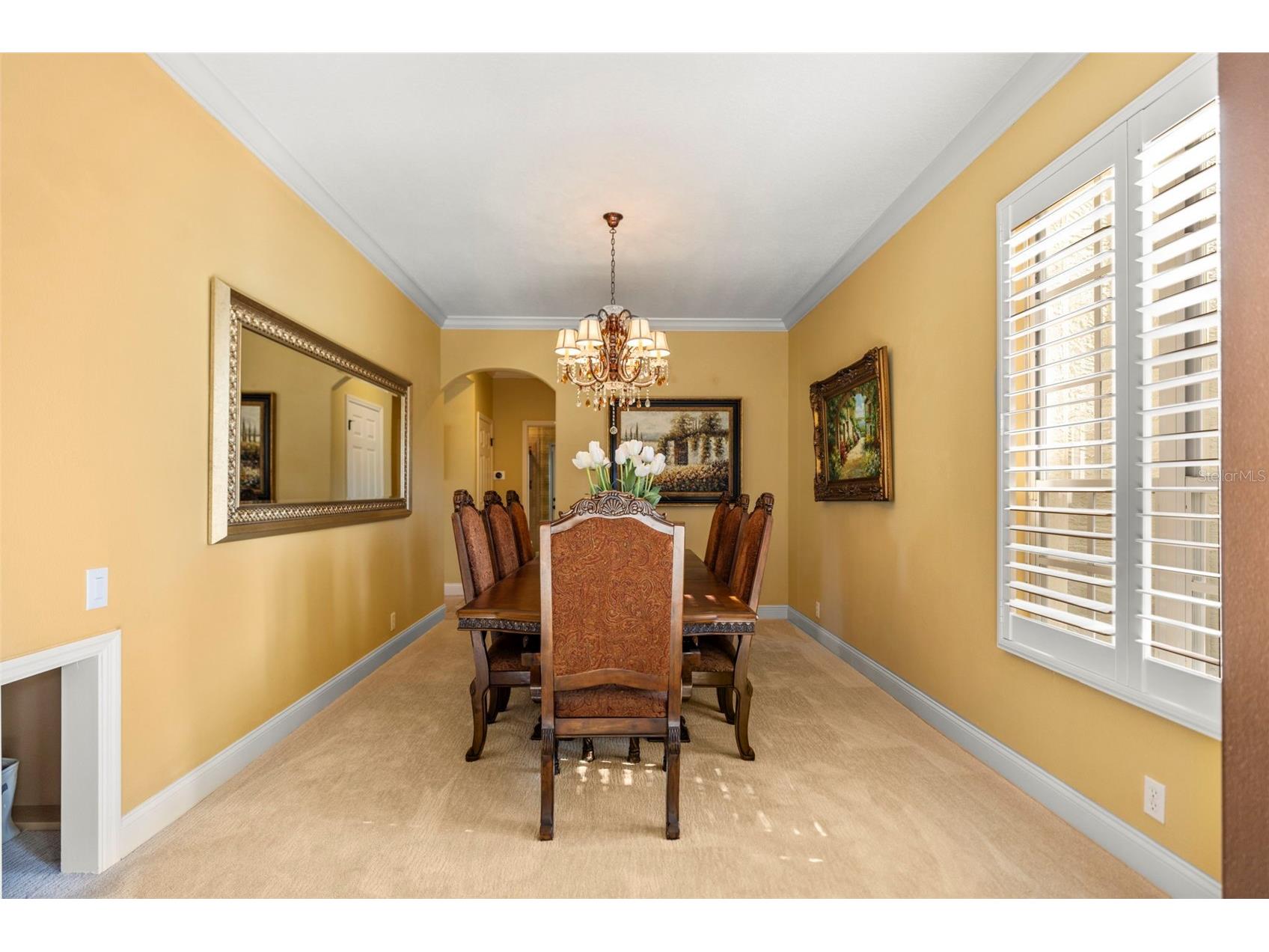 4165 Moreno Drive Palm Harbor FL 34685 TB8460043 image33