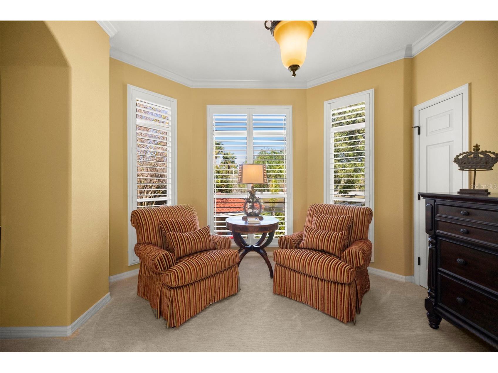 4165 Moreno Drive Palm Harbor FL 34685 TB8460043 image36