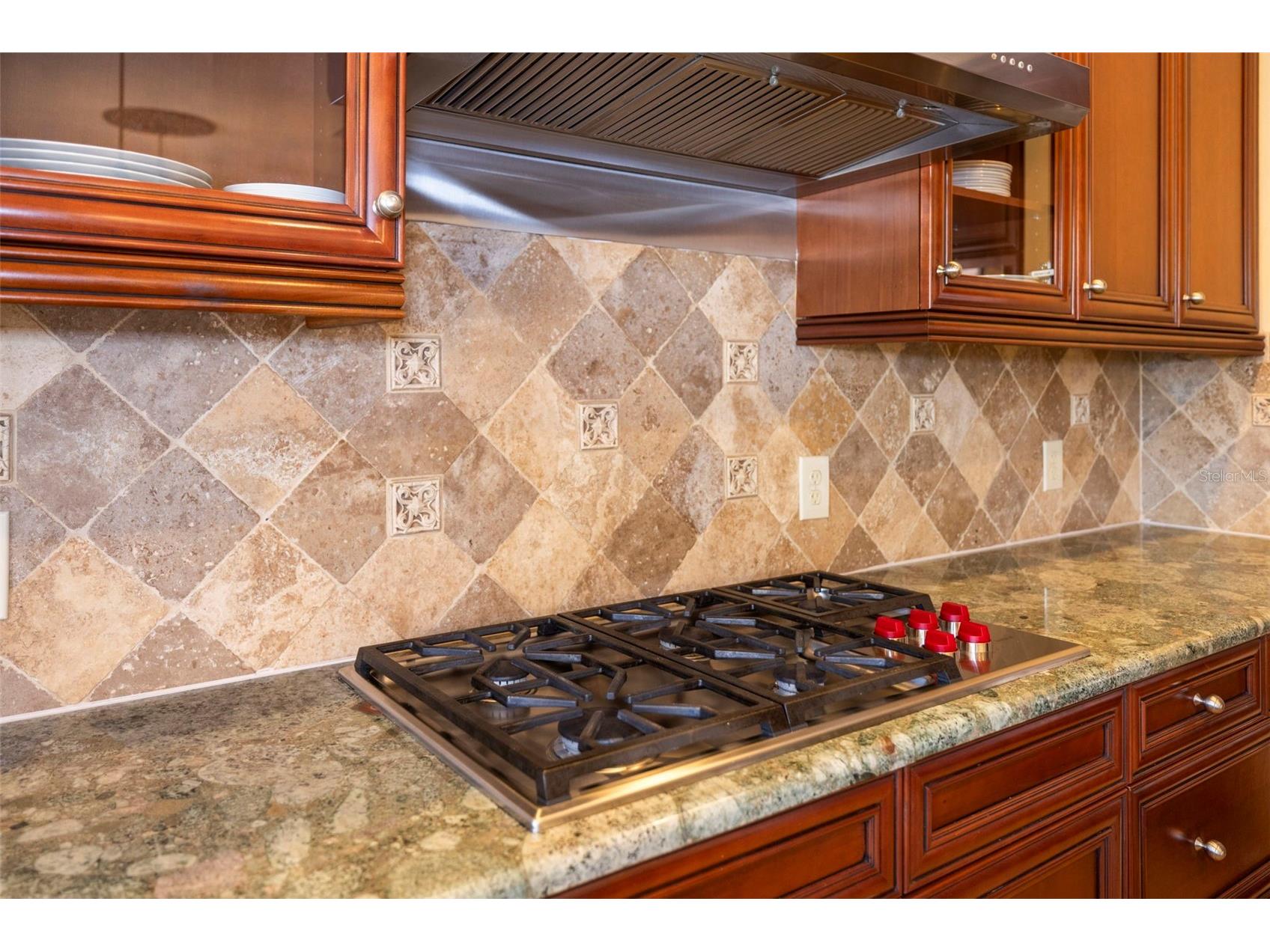 4165 Moreno Drive Palm Harbor FL 34685 TB8460043 image39