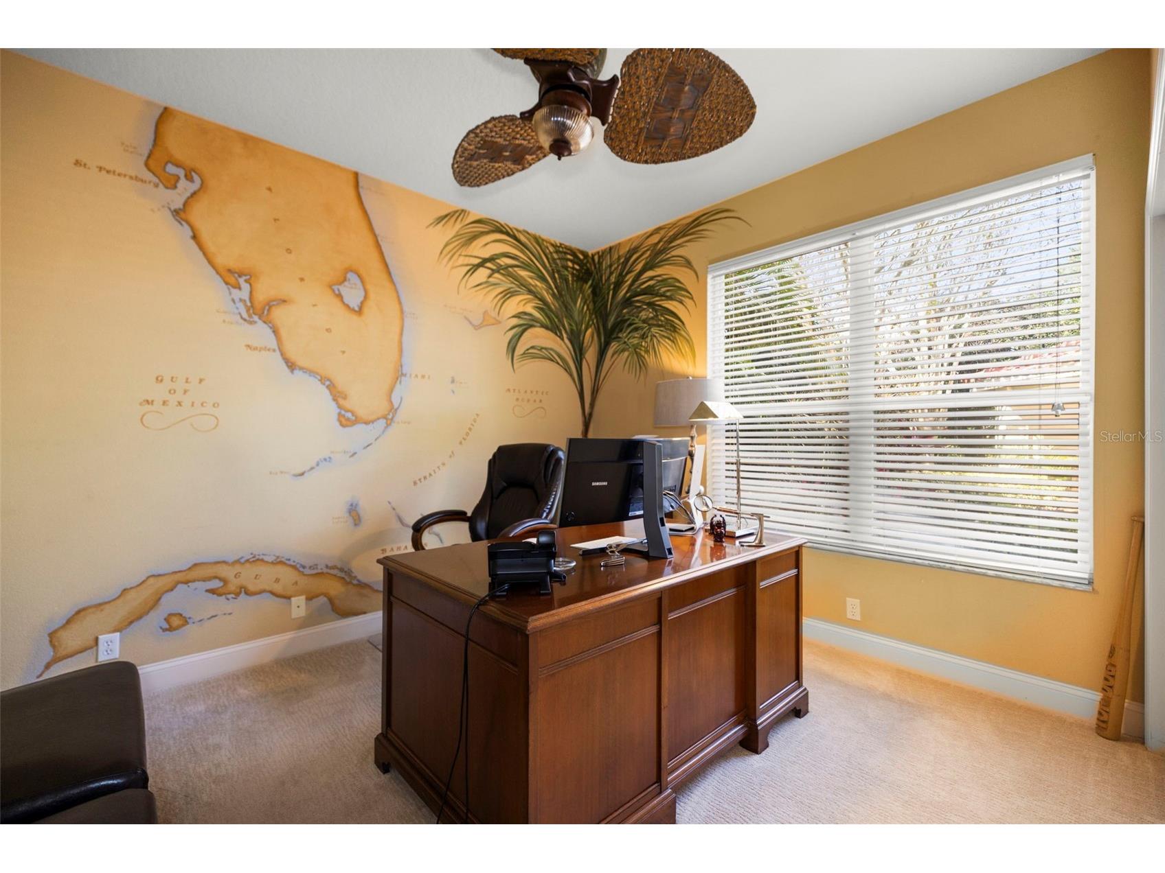 4165 Moreno Drive Palm Harbor FL 34685 TB8460043 image40