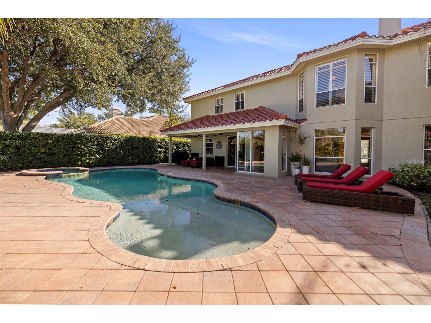 4165 Moreno Drive Palm Harbor FL 34685 TB8460043 image43