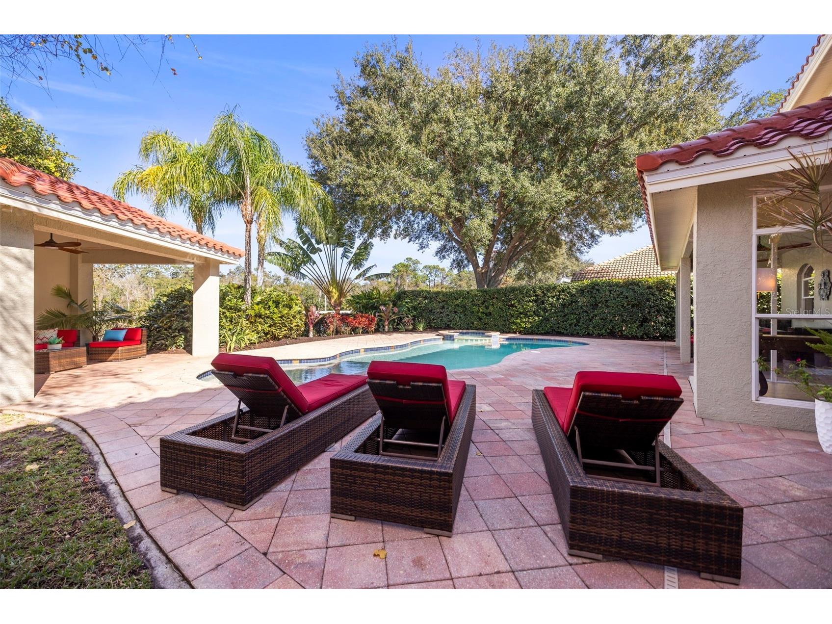 4165 Moreno Drive Palm Harbor FL 34685 TB8460043 image44