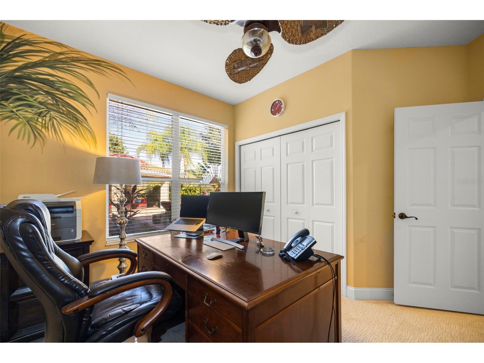 4165 Moreno Drive Palm Harbor FL 34685 TB8460043 image47